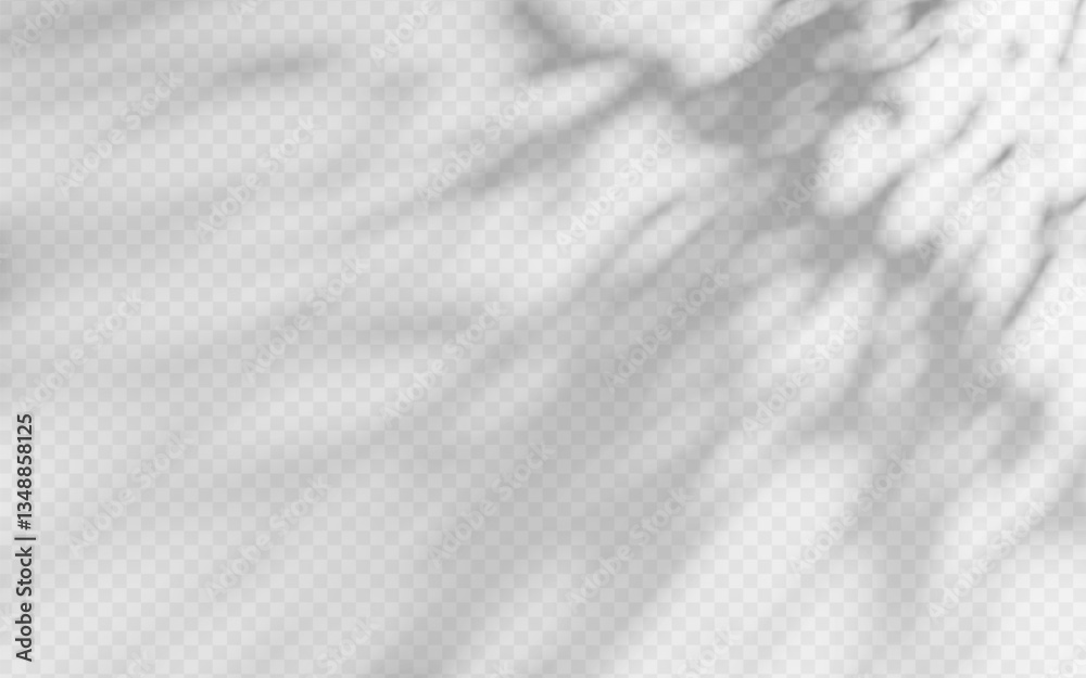 Abstract shadow overlay from foliage on a transparent background. Stock ...