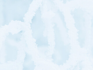 Wall Mural - snow and rime ice on the branches of bushes. beautiful winter background with trees covered with hoa