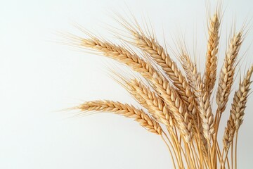 Poster - Golden harvest elegance wheat stems on a light backdrop minimalist composition grain bounty nutrition