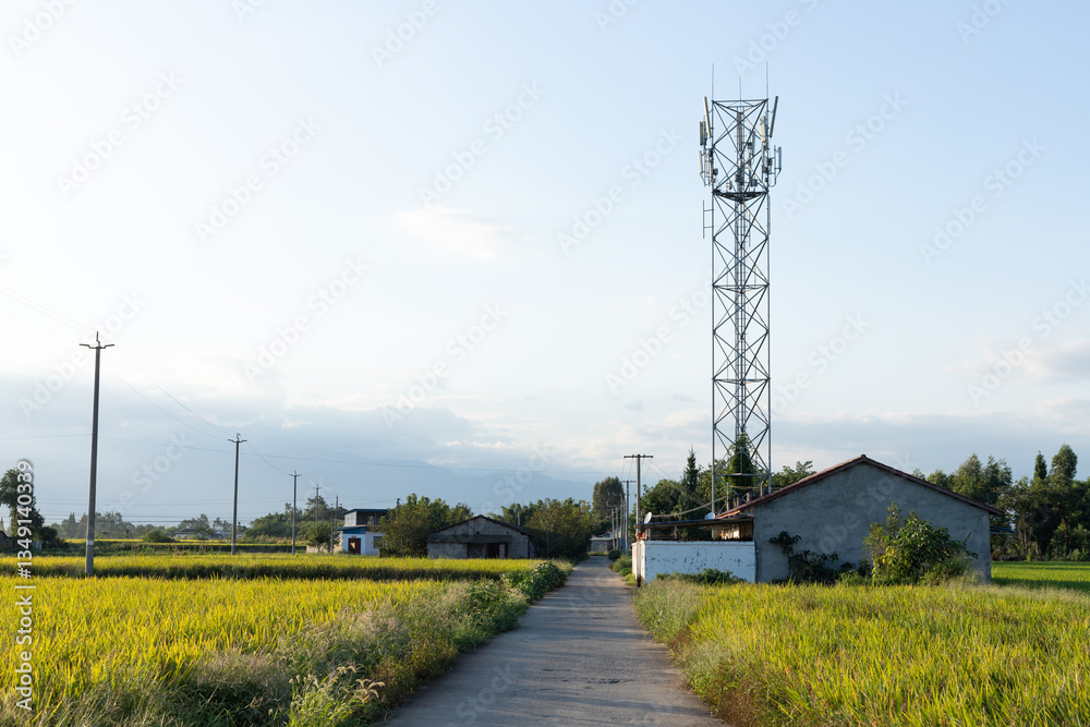 Green rice fields and communication signal tower in Chinese village ...
