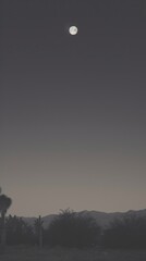 Wall Mural - desert night moon astronomy.