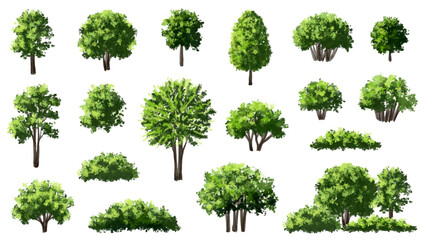 Wall Mural - vector watercolor green tree or forest side view isolated on white background for landscape and arch