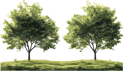 Wall Mural - greenery vector trees, forest shapes cut out, transparent png, nature, eco-friendly, landscape, outd