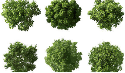 top view trees vector, transparent background png, greenery foliage set, park tree icons, aerial lan