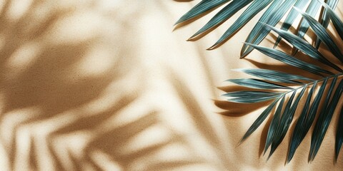 Poster - Palm leaf shadows create soft patterns on sunlit tropical sand perfect for summer vibes