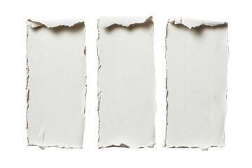 Canvas Print - three textured white paper strips torn edges, cut out transparent