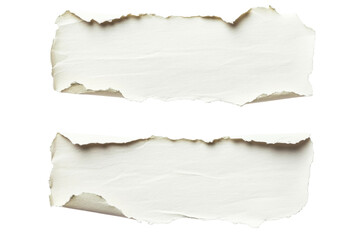 Wall Mural - torn paper sheets, rugged edges, natural surface, black background, cut out transparent