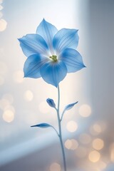 Poster - Delicate blue flower stands tall amidst soft light, creating an ethereal atmosphere in a serene setting