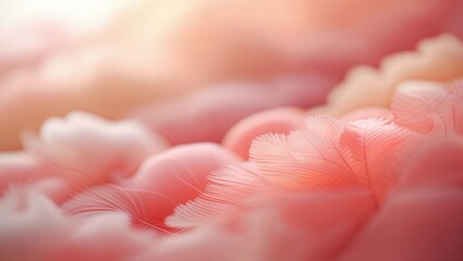 Poster - beautiful soft feathers create a delicate texture in warm pastel colors during dim lighting