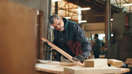 Aufkleber - Carpenter, mature and check wood for construction, furniture or renovation project planning. Woodworker, person and plank with tools in creative carpentry workshop for manufacturing, art and craft