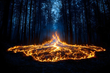 Poster - Intense Burning Ground Fire in Dark Blue Forest at Night