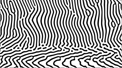 Poster - optical art with fluid black lines on white background
