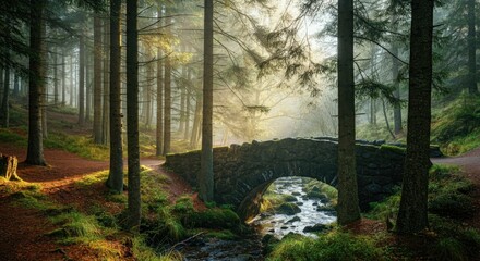 Wall Mural - serene forest scene with stone bridge over flowing stream in sunlight