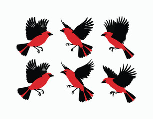 Red Scarlet Tanager EPS Vector Template Isolated