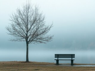 Wall Mural - bench next to tree on foggy day