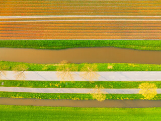 Wall Mural - drone view of a road in the middle of a field. landscape from a drone. road and transport. car traff