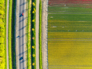 Wall Mural - drone view of a road in the middle of a field. landscape from a drone. road and transport. car traff