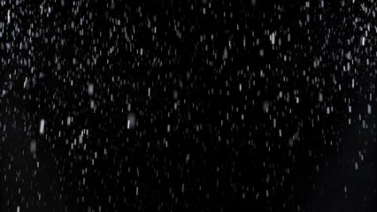 Aufkleber - Freeze Motion of Rain - Falling Water Drops Isolated on Black Background