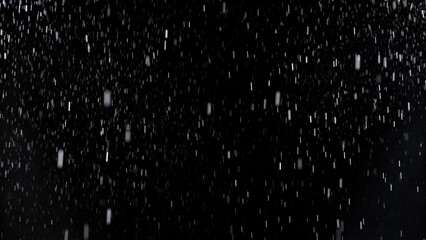 Aufkleber - Freeze Motion of Rain - Falling Water Drops Isolated on Black Background