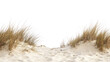 © Rawpixel.com - PNG Beach sand dune horizon nature grass.