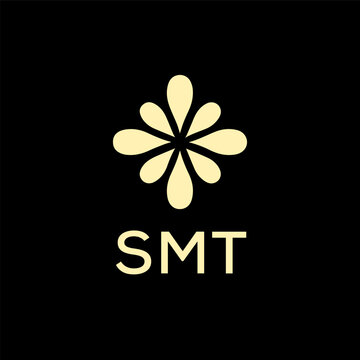 SMT creative minimalist letter logo.