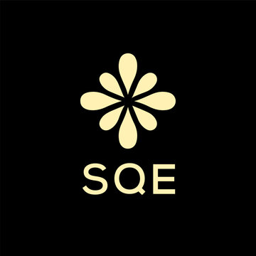 SQE creative minimalist letter logo.