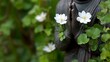 © Super - Praying Buddha statue with white flowers.