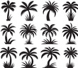 © Creative Art - seamless palm tree pattern