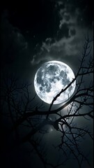Wall Mural - full moon in the night