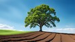 © Mak nAI - A majestic oak tree stands proudly a gently sloping field, freshly ploughed, under a vibrant blue sky fluffy white clouds.