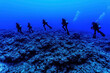 © Ihsanfrr - A group of four scuba divers swimming in the deep blue ocean, with one person leading the way, surrounded by coral formations and a vast expanse of deep blue water.
