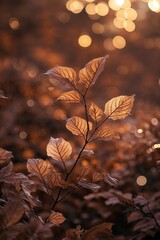 Wall Mural - warm autumn leaves glisten in soft sunlight creating a tranquil atmosphere in a forest setting