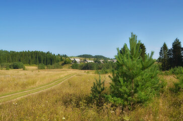 Wall Mural - a country road leading to a small village surrounded by green forest.