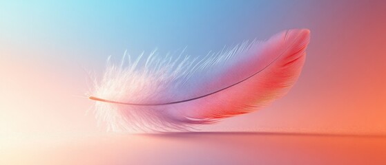 Poster - Soft Floating Feather on a Gentle Gradient Background in Pastel Colors