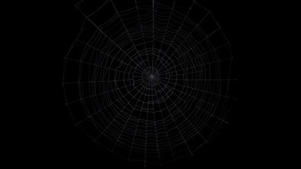 A large, intricate spiderweb