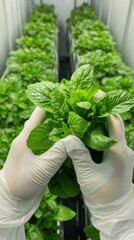 Poster - Innovative Urban Agriculture Next-Gen Vertical Farming Solution Revolutionizing Sustainable Food Production with High-Precision Hydroponic Technology and Climate-Resilient Crop Cultivation