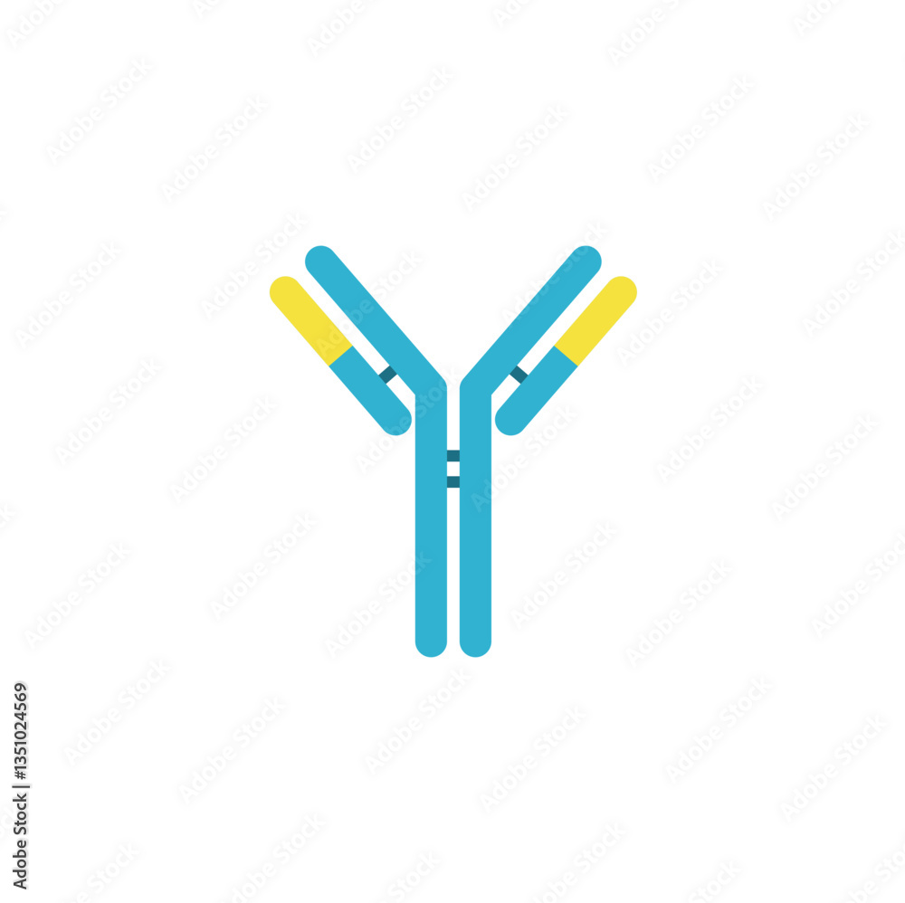 Antibody anatomy. Immunoglobulin Structure. Adaptive immune response ...