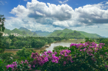 Wall Mural - a scenic landscape of a mountain range in thailand, with flowers in the foreground, creates a beauti