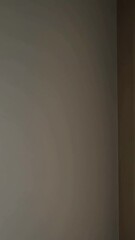Poster - Abstract light and shadow play on curved wall surfaces with subtle gradient transitions