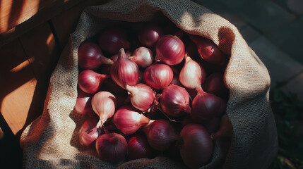 Poster - Fresh shallots in burlap bag - top view for culinary uses and kitchen decor