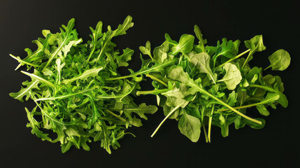Poster - Fresh green arugula leaves on black background for organic food concepts and culinary design
