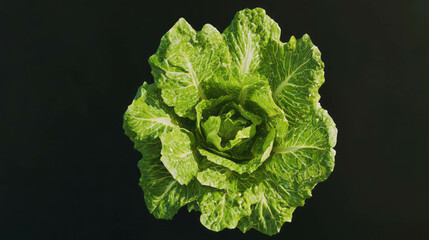 Poster - Fresh romaine lettuce on dark background - ideal for healthy living designs