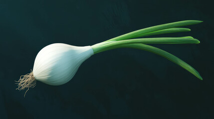 Poster - Fresh single white onion with green stems against dark background, ideal for culinary designs