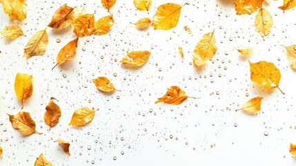 Poster - A serene composition of autumn leaves scattered on a white surface, with bubbles creating a refreshing contrast