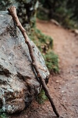 Poster - A stick stuck into a rock on a trail, useful for outdoor adventures and travel