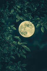 Poster - A full moon shining brightly through the leaves of a tree, perfect for nature or astronomical-themed images