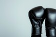 © Roshani - A pair of black boxing gloves, ready for a fight, symbolizes strength and power.