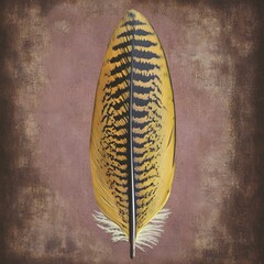 Poster - Intricate feather texture displayed on a rich brown background emphasizing the beauty of nature's design