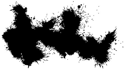 Poster - Ink Splash Texture: A dynamic display of black ink, showcasing its spontaneous flow and textured details. An abstract image to capture the raw, untamed quality of liquid art.