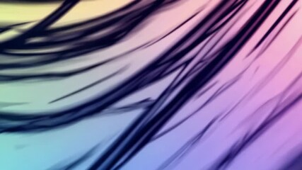 Poster - Abstract gradient with flowing dark lines, soft colors. Modern art design concept
